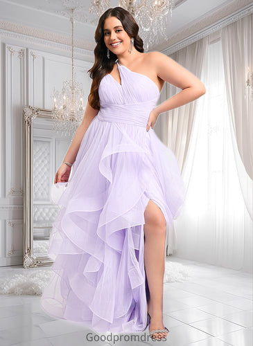 Isla Ball-Gown/Princess Asymmetrical One Shoulder Floor-Length Tulle Prom Dresses HDOP0025867