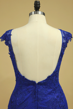 Load image into Gallery viewer, Plus Size Mermaid Open Back Evening Dresses Bateau Tulle With Applique Dark Royal Blue